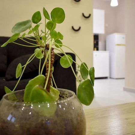 Villa Deltus - Cozy Holiday Home Near Gortyna Agioi Deka  ภายนอก รูปภาพ