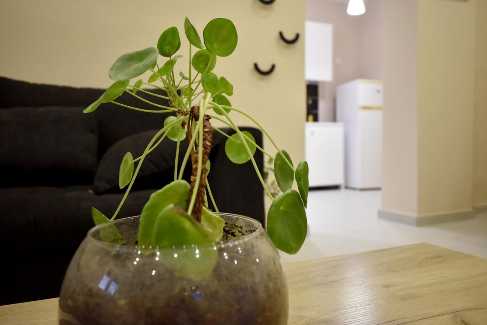 Villa Deltus - Cozy Holiday Home Near Gortyna Agioi Deka  ภายนอก รูปภาพ